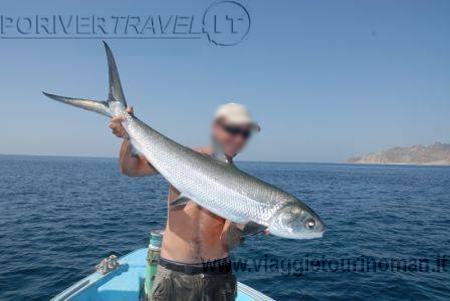 FLYFISHING E MILKFISH IN OMAN 